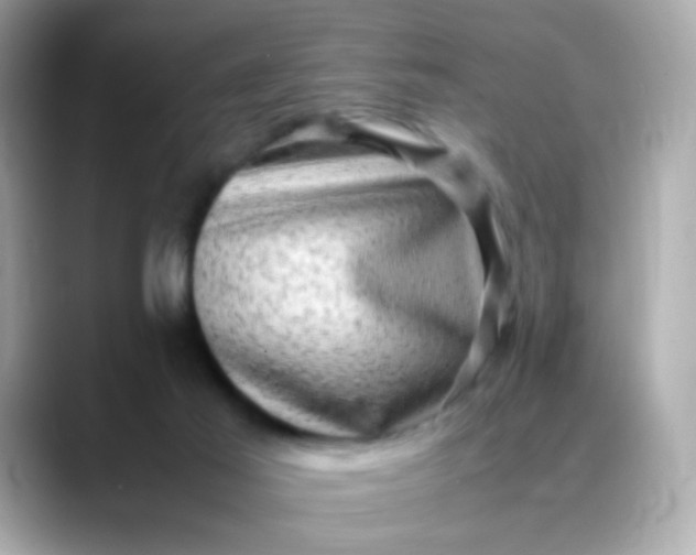 X0000088400021200706051144