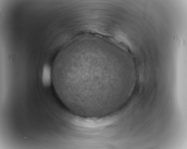 X0000088400022200706051144