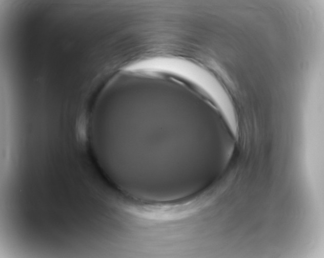 X0000088400023200706051144