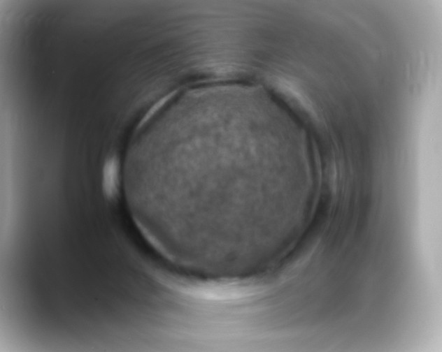 X0000088400024200706051144