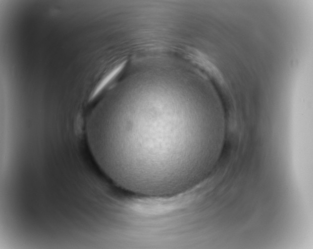 X0000088400025200706051144