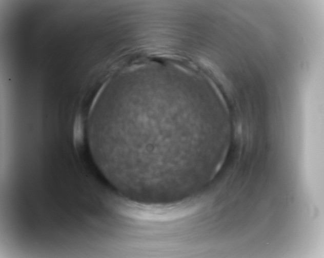 X0000088400026200706051144