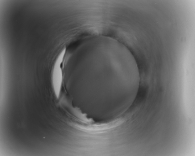 X0000088400027200706051144