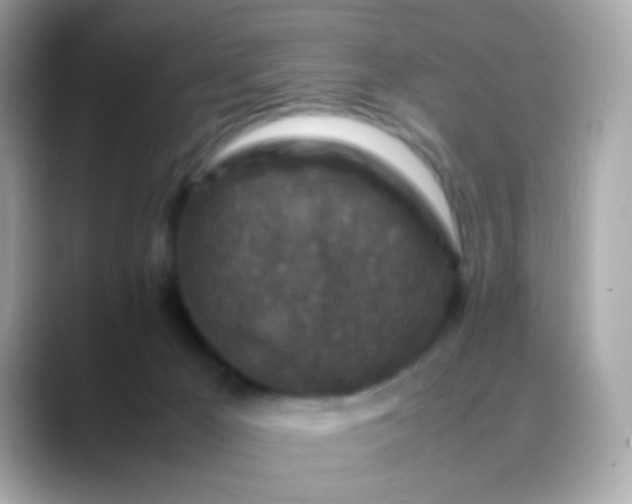 X0000088400029200706051144