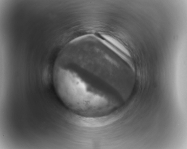 X0000088400030200706051144