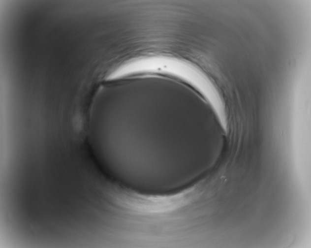 X0000088400031200706051144