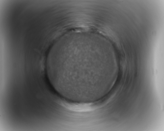 X0000088400032200706051144