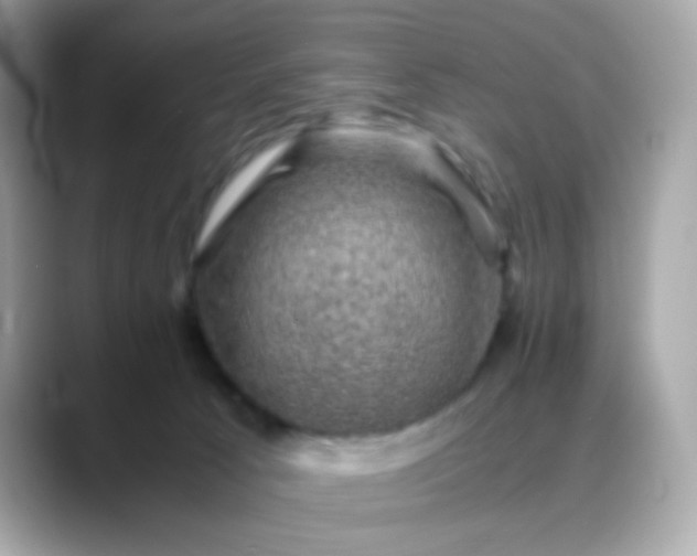 X0000088400033200706051144