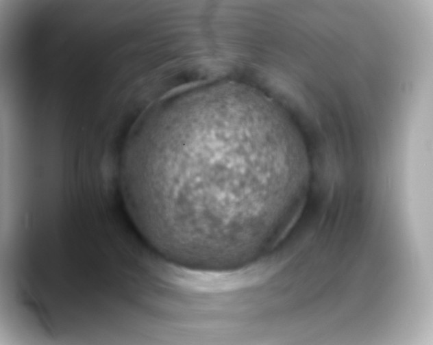 X0000088400034200706051144