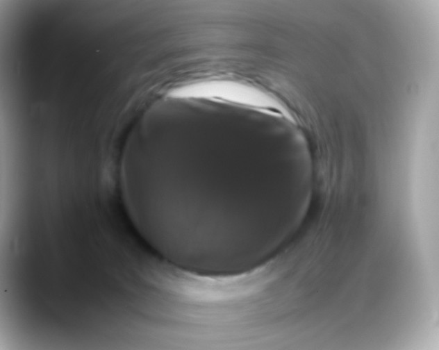 X0000088400035200706051144