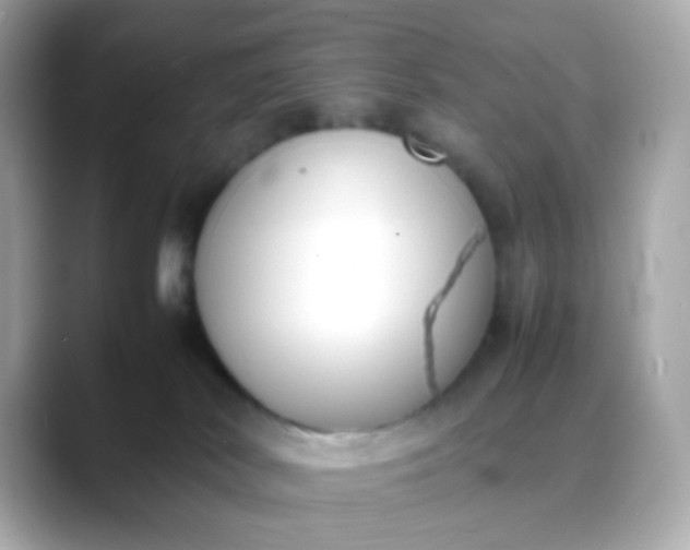 X0000088400038200706051144