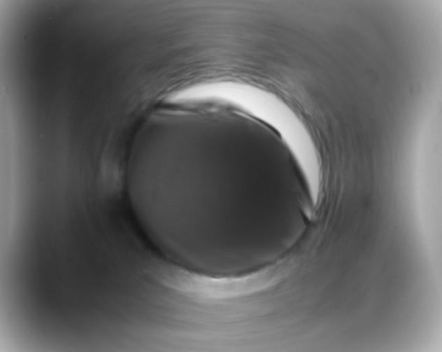 X0000088400039200706051143