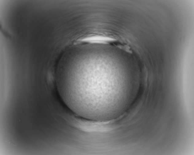 X0000088400040200706051143