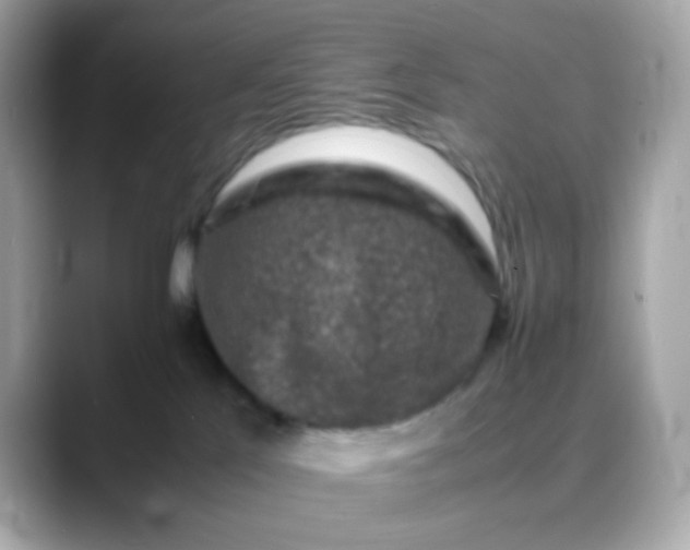 X0000088400041200706051143