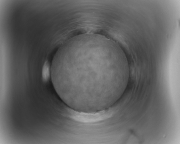 X0000088400042200706051143