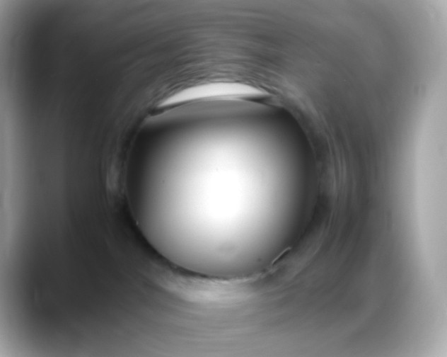 X0000088400044200706051143