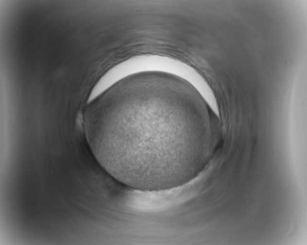 X0000088400045200706051143