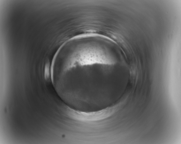 X0000088400046200706051143