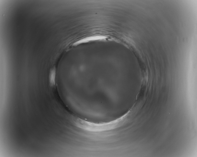 X0000088400047200706051143