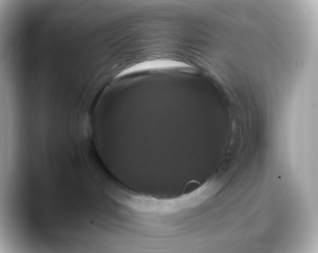 X0000088400048200706051143