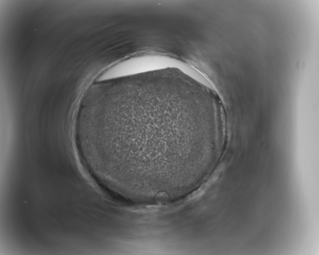 X0000088400049200706051143