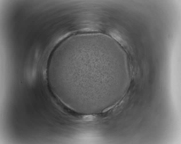 X0000088400050200706051143