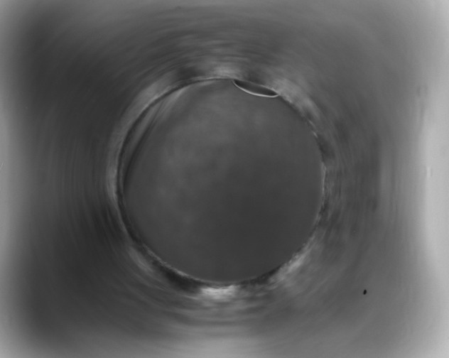 X0000088400051200706051143