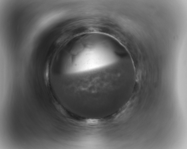 X0000088400052200706051143