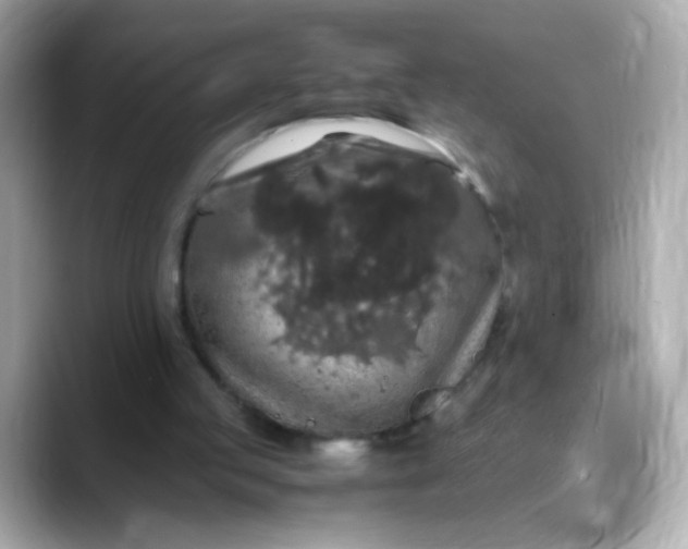 X0000088400053200706051143