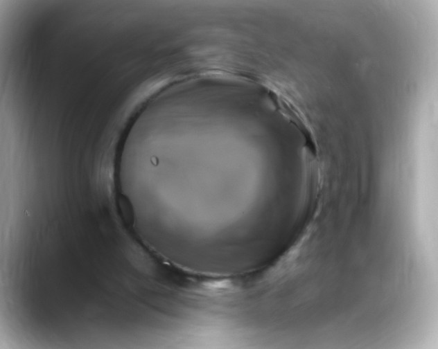 X0000088400054200706051143