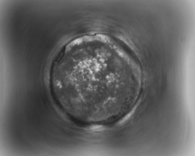 X0000088400055200706051143