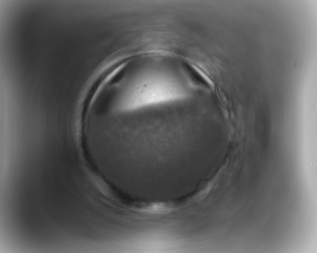 X0000088400056200706051143