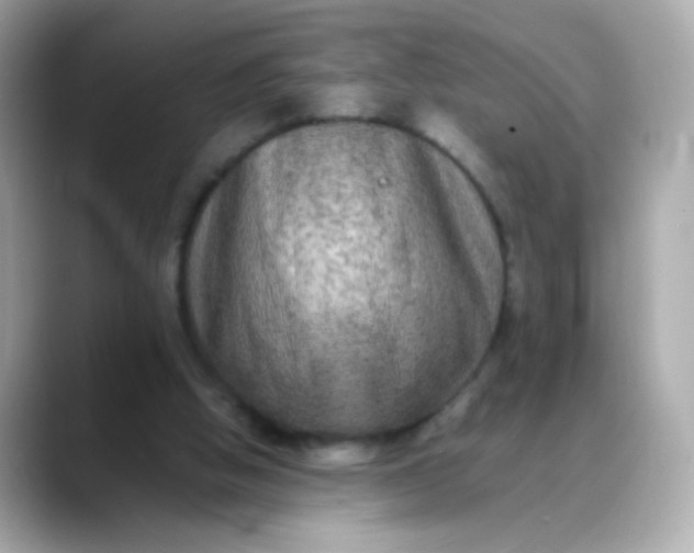 X0000088400058200706051143