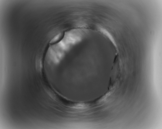 X0000088400059200706051143