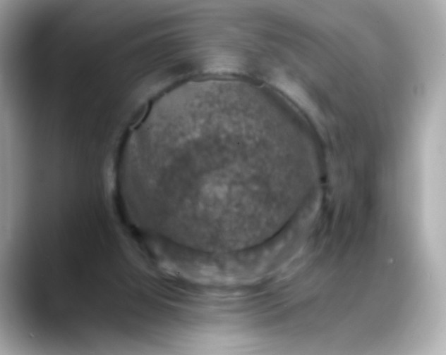 X0000088400060200706051143