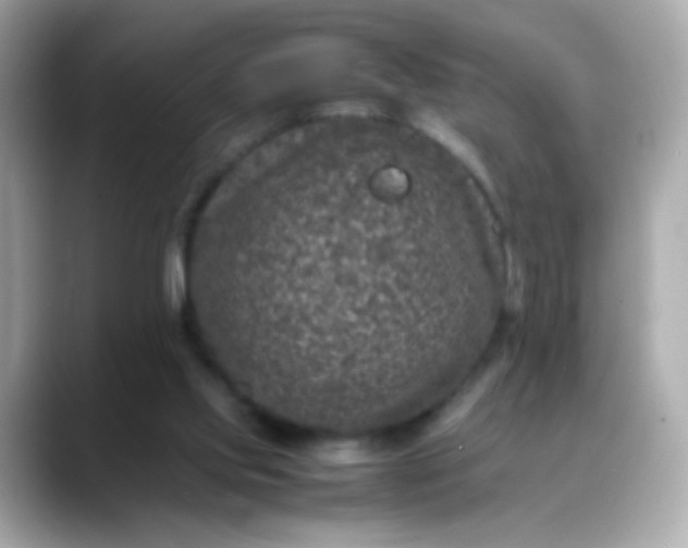 X0000088400061200706051143