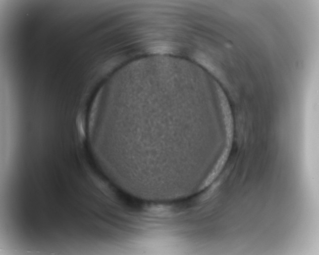 X0000088400062200706051143