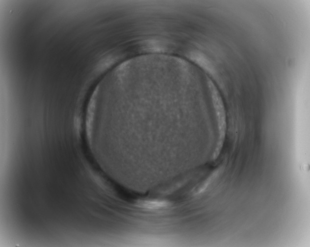 X0000088400063200706051143