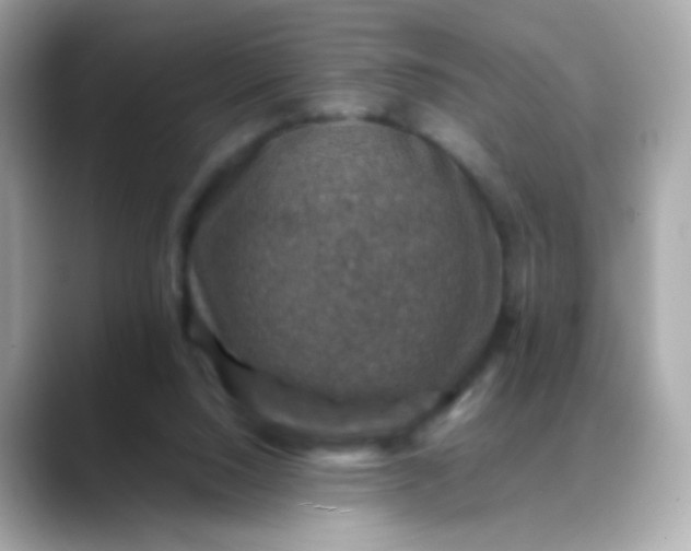 X0000088400064200706051143