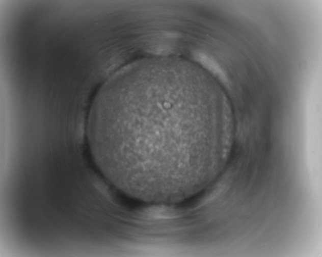 X0000088400065200706051143