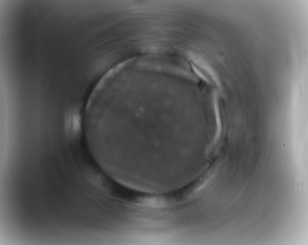 X0000088400067200706051143