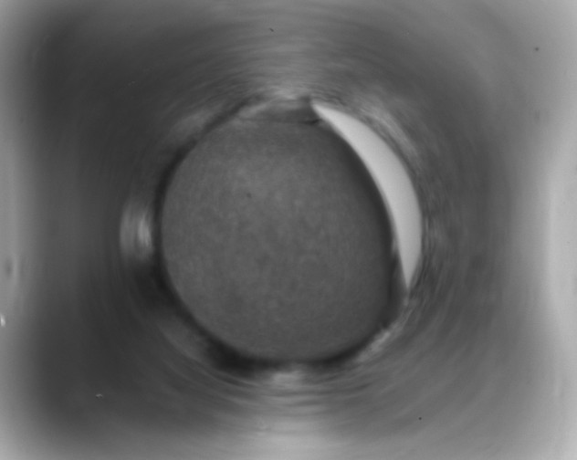 X0000088400068200706051143