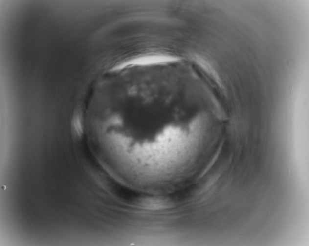 X0000088400069200706051143