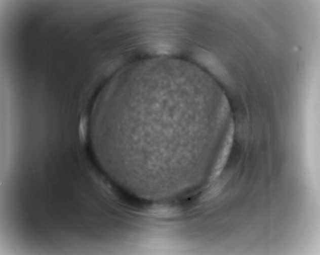 X0000088400070200706051143