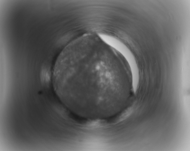 X0000088400072200706051143