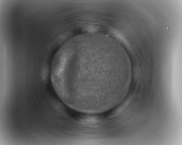 X0000088400073200706051143