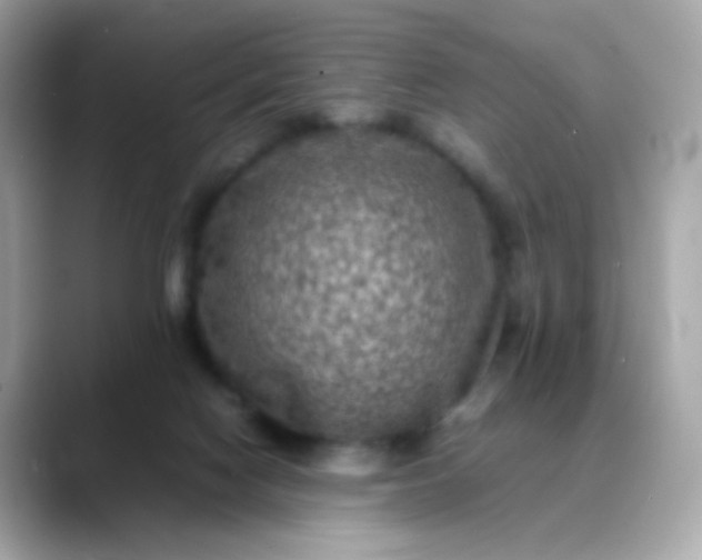 X0000088400074200706051143