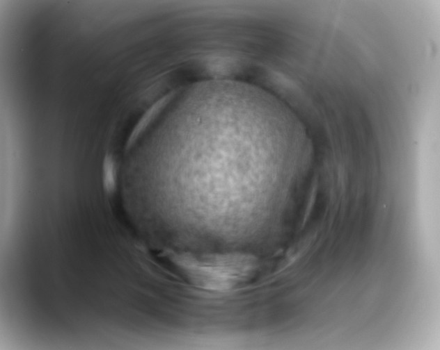 X0000088400075200706051143