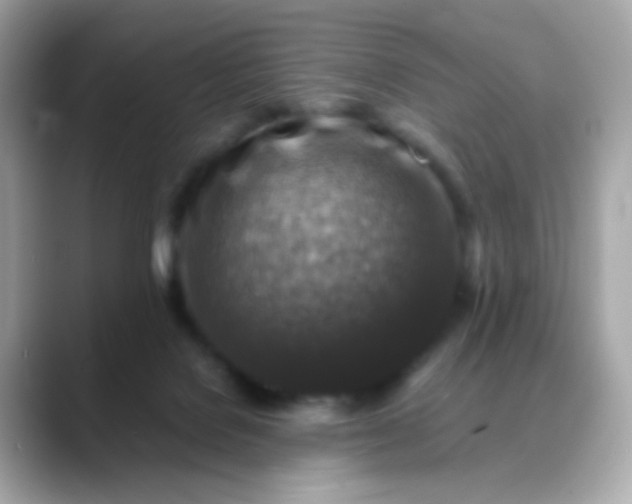 X0000088400076200706051143