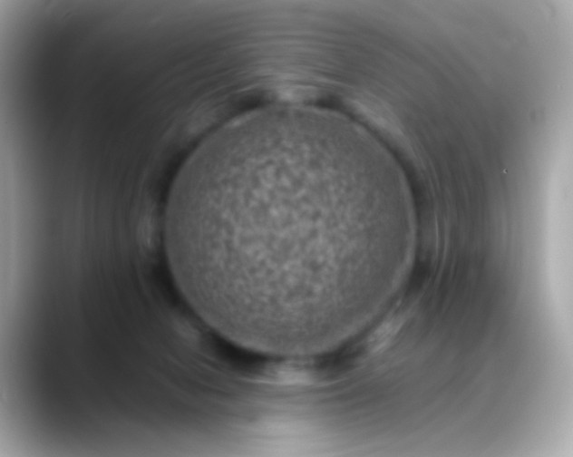 X0000088400078200706051143